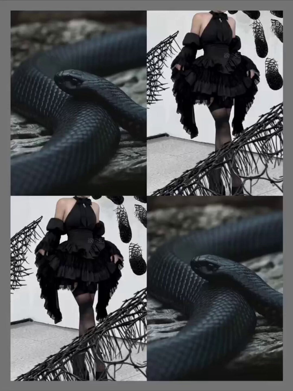 欲望の蛇（よくぼうのへび）